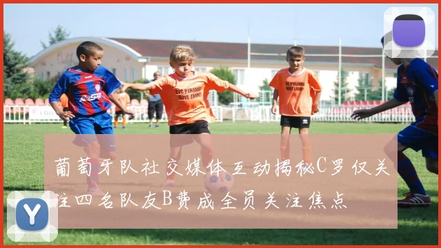 葡萄牙队社交媒体互动揭秘C罗仅关注四名队友B费成全员关注焦点