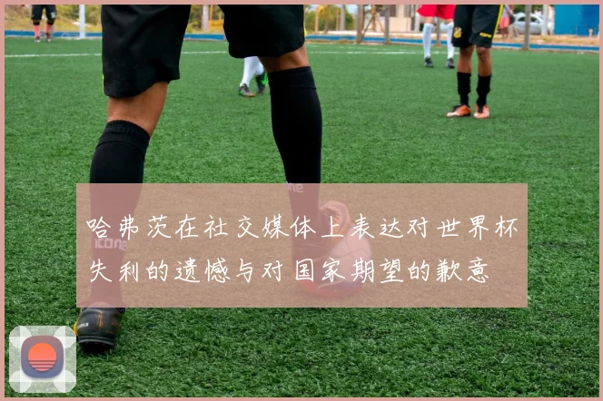 哈弗茨在社交媒体上表达对世界杯失利的遗憾与对国家期望的歉意